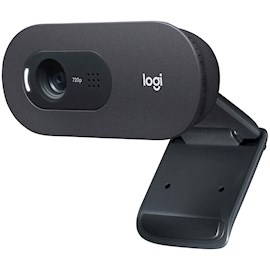 ვებკამერა Logitech L960-001364 C505 HD Webcam Black